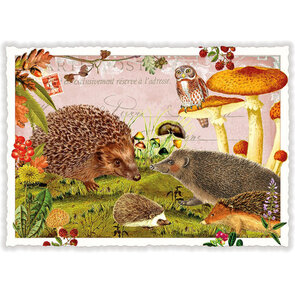 PK 608 Tausendschön Postcard | Autumn