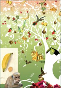 Museum Cards Postcard | Tord Boontje, Museum Naturalis