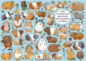 Search Postcard | Welches Meerschweinchen war baden ...?