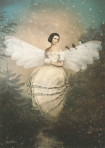 Postcard Catrin Welz-Stein - The Snow Moth