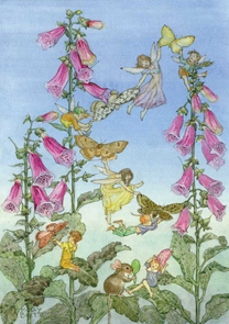 Postcard Molly Brett | Fairies And Foxgloves