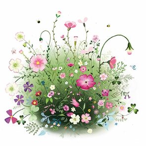 Sabina Comizzi Postcard | Flower Meadow