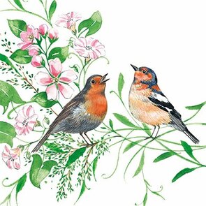 Kerstin Heß Postcard | Two Birds