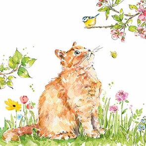 Carola Pabst Postcard | Cat and Bird