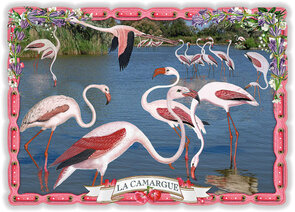 PK 8023 Barbara Behr Glitter Postcard | France - La Camargue 1 