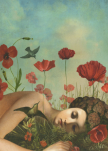 Postcard Catrin Welz-Stein - Poppy Field