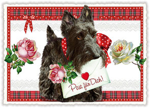 PK 211 Tausendschön Postcard | Post für dich!