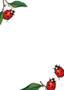 A5 Briefpapierblok Illi | Marie und Sepp