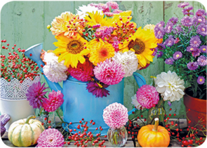 Adobe Stock Postcard | Autumn Flowers