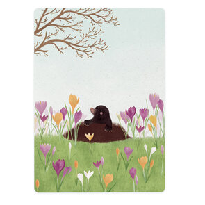 The Lemonbird Postcard | Krokussen en molletje