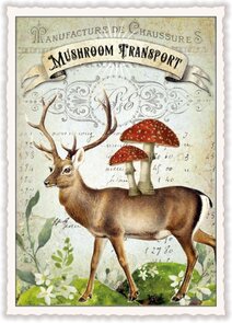 PK 1095 Tausendschön Postcard | Mushroom Transport