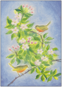 Postcard | Two birds on a branch