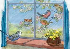 Postcard Molly Brett | The Party That Grew