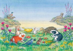 Postcard Molly Brett | Midget And The Pet Shop