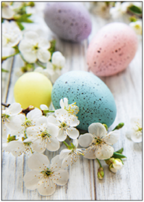 Postcard | Easter decoration with flower branch and eggs