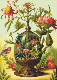 Postcard Gwenaëlle Trolez Créations - Muséum