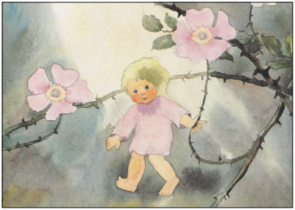 Postcard Mili Weber - Bush Roses