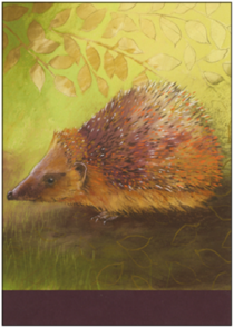 Postcard Loes Botman | Hedgehog