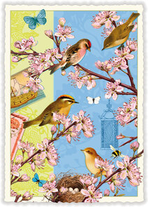 PK 373 Tausendschön Postcard | Vögel