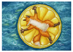 Postcard 446 by Katja Saario - Floatie