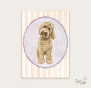 Postcard Labradoodle - Appeloogje