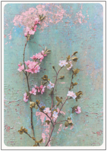 Postcard | Spring greetings