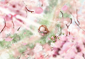 Postcard Ila Illustrations 151 - Sakura