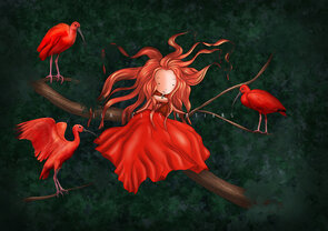 Postcard Ila Illustrations 027 - Red ibis