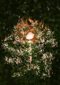 Postcard Ila Illustrations 097 - Awakening