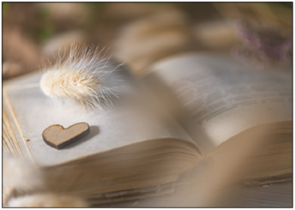 Postcard | Book with heart