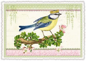 PK 194 Tausendschön Postcard - Wren king