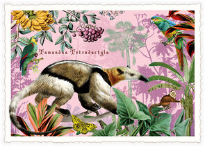 PK 1264 Tausendschön Postcard - ant-eater