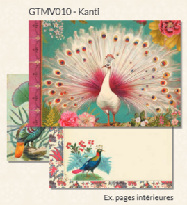 Mini Illustrated notebook Gwenaëlle Trolez Créations - Peacock