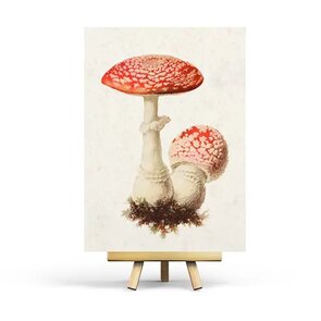 Vintage Amanita Postcard by Penpaling Paula