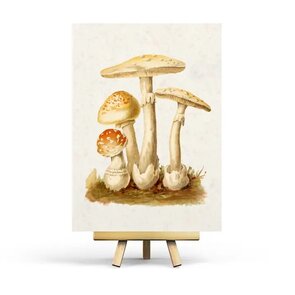 Vintage Mushroom Postcard by Penpaling Paula