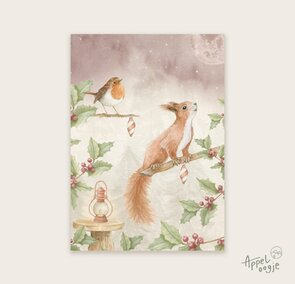 Postcard eekhoorn met roodborstje - Appeloogje