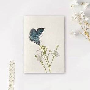 Postcard Art by Meer | Bleek blauwtje vlinder