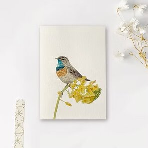 Postcard Art by Meer | Blauwborstje