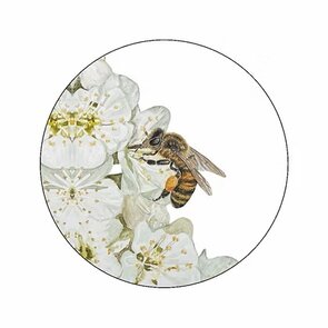 6x Sticker Honingbij by Art by Meer