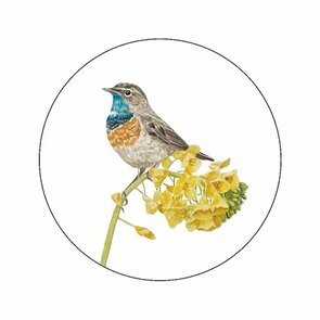 6x Sticker Blauwborstje by Art by Meer