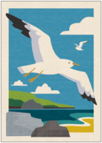 Postcard | Seagull flight