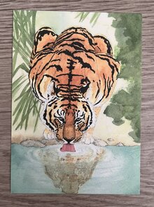 Wildgardens Postcard - Tiger