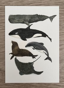 Wildgardens Postcard - Sealife Sperm Whale
