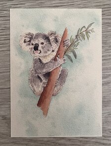 Wildgardens Postcard - Koala