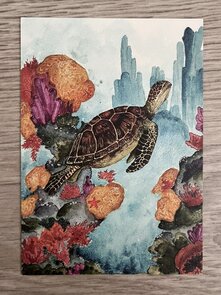 Wildgardens Postcard - Turtle