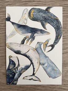 Wildgardens Postcard - Whales