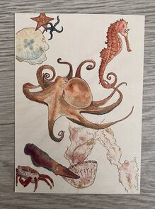 Wildgardens Postcard - Octopus