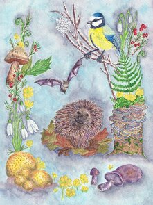 Wildgardens Postcard - Winter