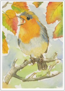 Postcard | Robin in autumn leaves