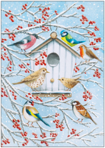 Postcard | Little winter birds